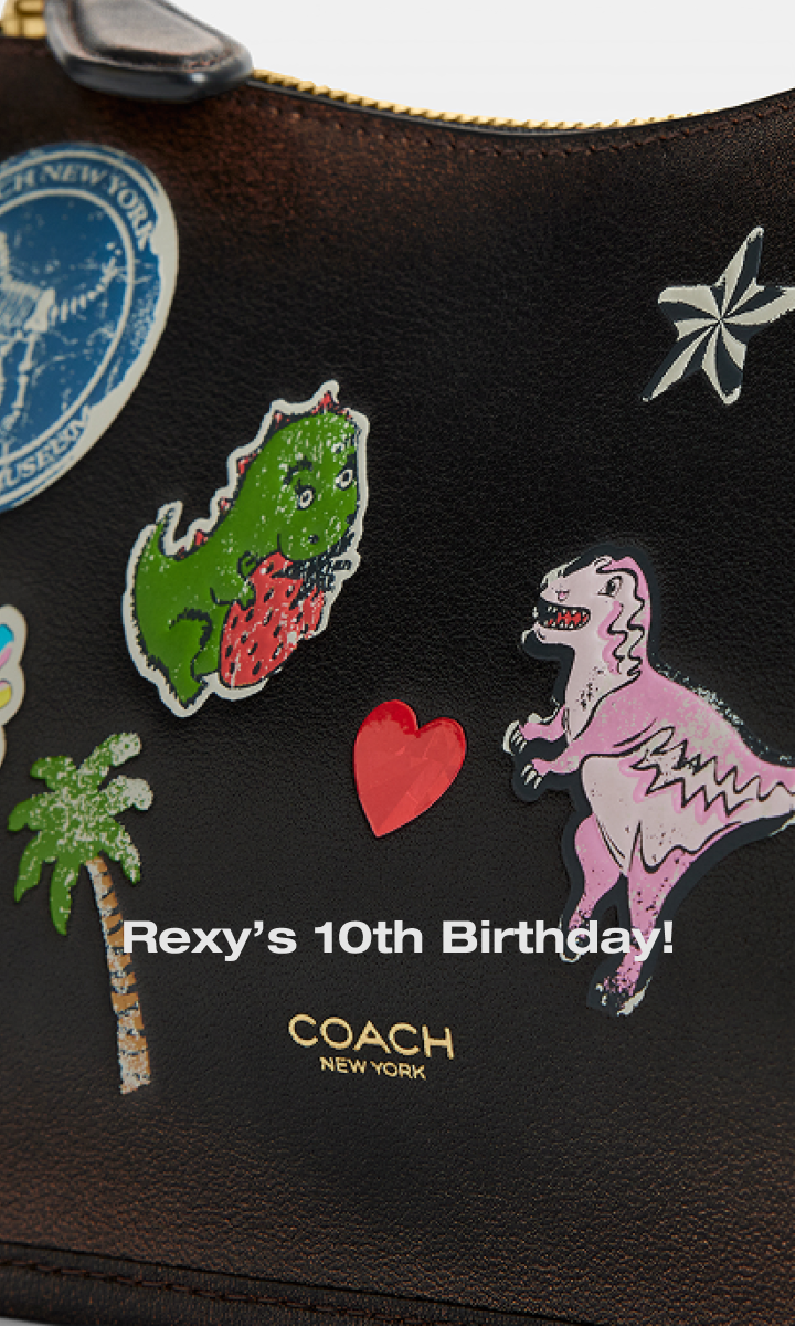 Rexy 10th birthday Banner (Mobile)