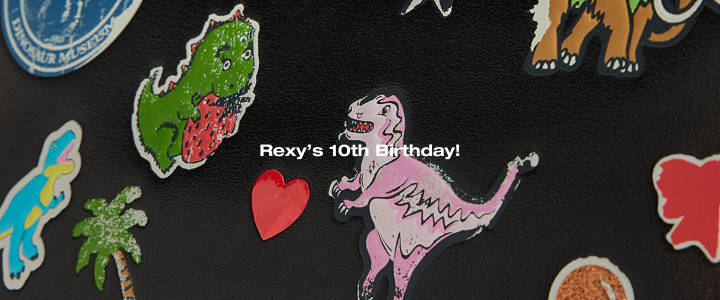 Rexy 10th birthday Banner (PC)